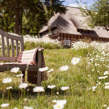 Park Am See X Nattika Ayurveda, Hotel Health Spirit Penzlin Exterior photo