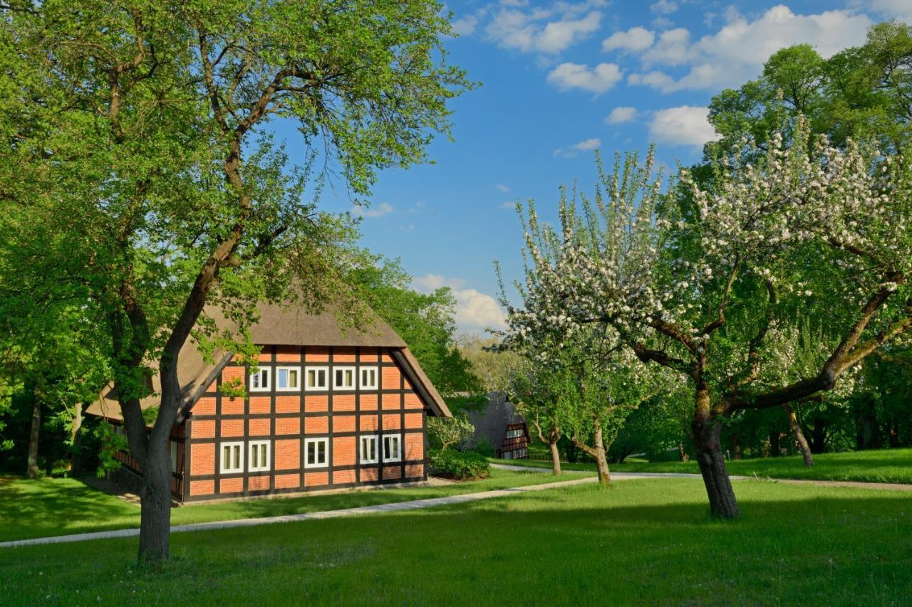 Park Am See X Nattika Ayurveda, Hotel Health Spirit Penzlin Exterior photo
